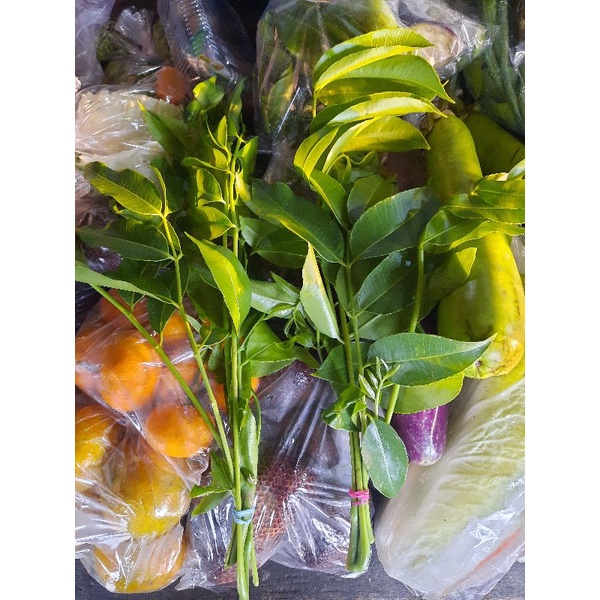 

daun kedondong muda per tangkai