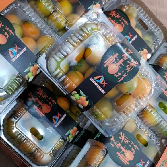 

((C-9-Y ♥☞> Jeruk kimkit madu 400 gram langsung kirim