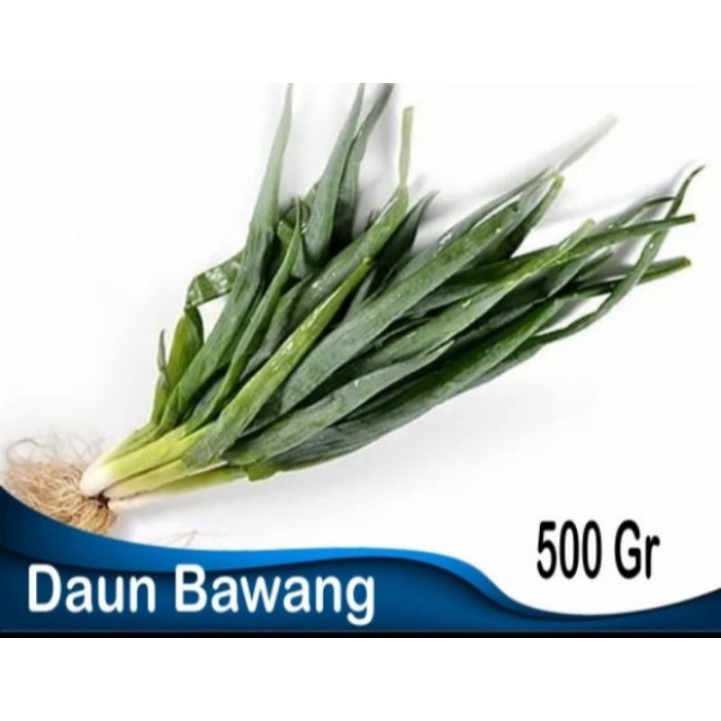 

Daun bawang 500 gram
