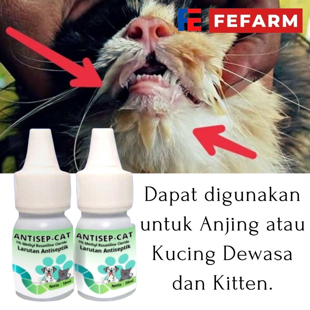 OBAT LUKA MULUT KUCING DAN ANJING ANTISEP CAT FEFARM