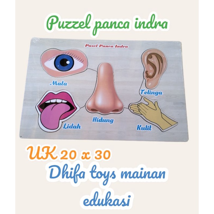 Puzzle Panca Indra - Puzzle Edukasi Anak | Puzzle Anak TK/Paud
