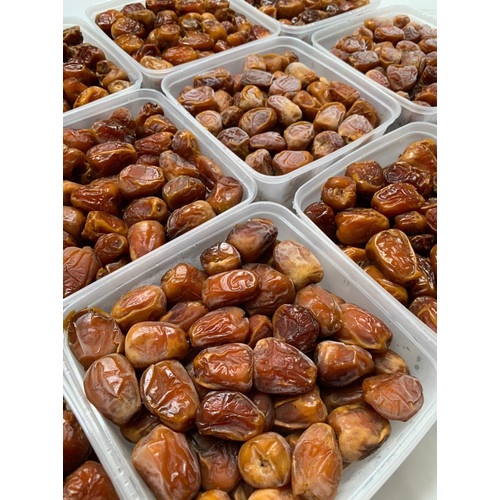 

[ PREMIUM ] KURMA SUKKARI KURMA RAJA ORIGINAL EXP 2024
