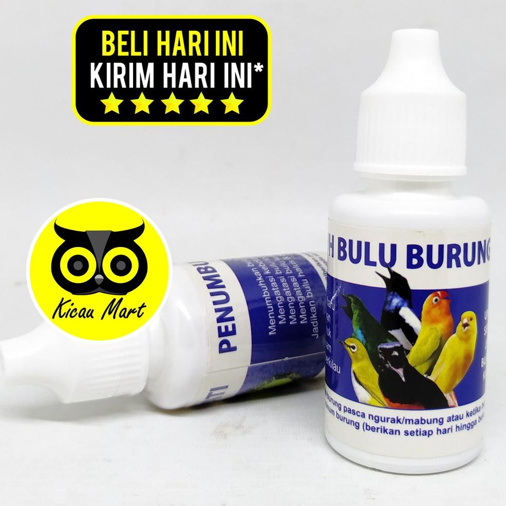 [Z-N9N][❤] PENUMBUH BULU BURUNG SEMPATI OBAT CABUT BULU RONTOK KUSAM BOTAK UNTUK MURAI KACER LOVEBIR