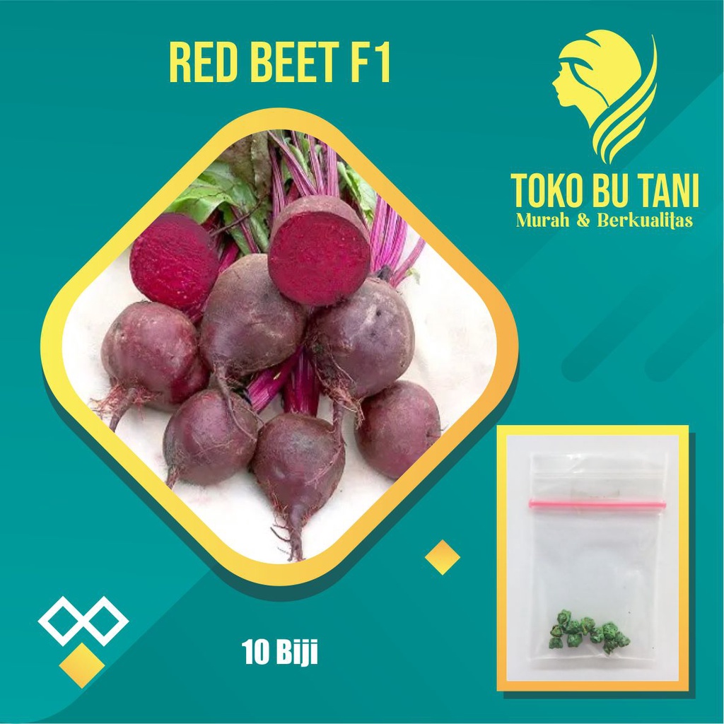 Benih Buah Organic Red Beet Buah Ubi Merah Beetroot Benih Buah-buahan Berkualitas