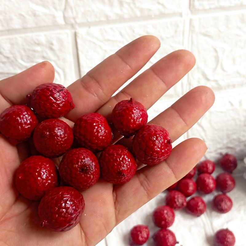 Christmas Bowl Buah Kering Warna Merah Dan Gold