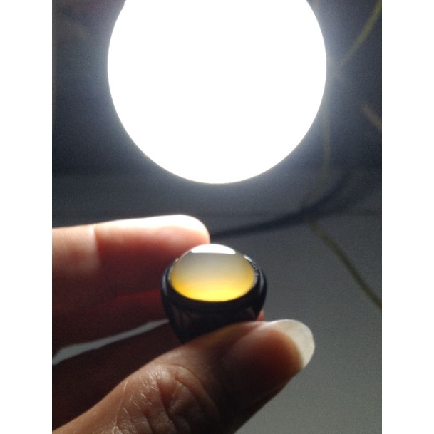 Bacan Obi Yellow Nukleus