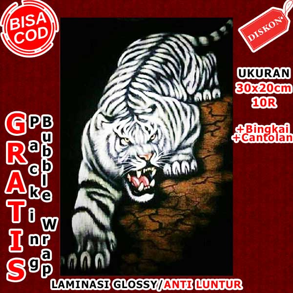 Hiasan Dinding Poster Kayu Lukisan Harimau Putih Macan Putih Mis-107 / Lukisan Dinding Ukuran Besar 