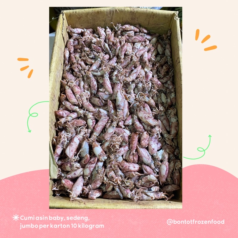 

cumi asin perkarton 10 kg