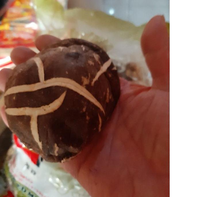 

Original Jamur hioko hyoko shitake S M Jumbo grade a++ per 100 gram buruan