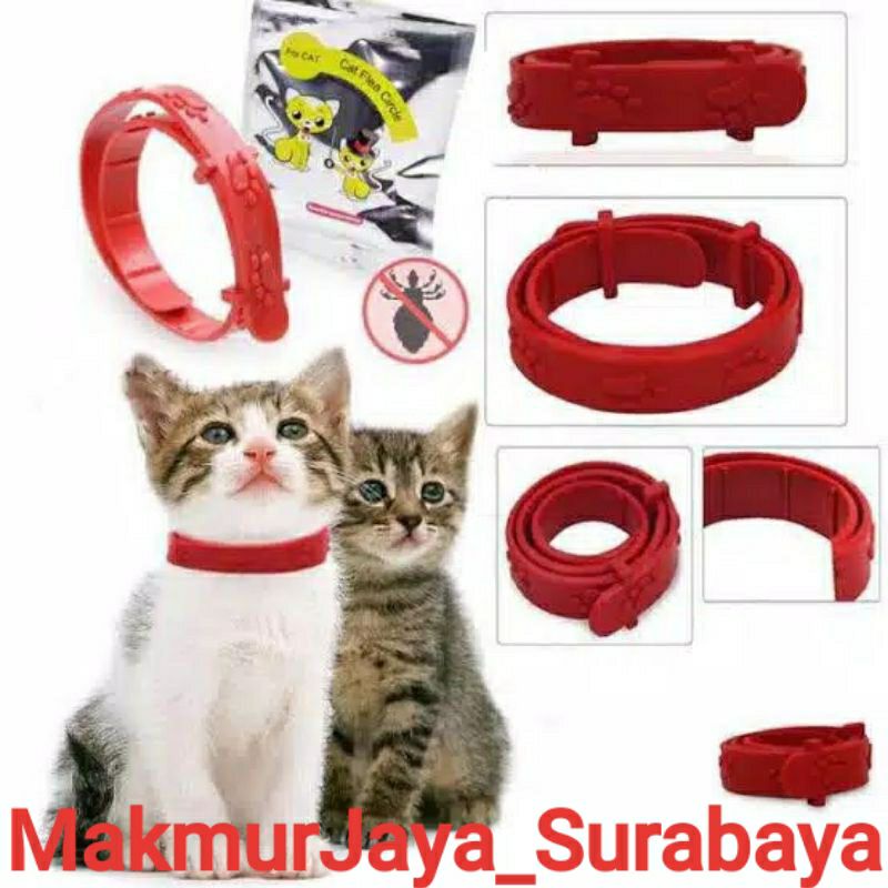Kalung kutu kucing / kalung anti kutu kucing / aksesoris kucing / obat kutu kucing