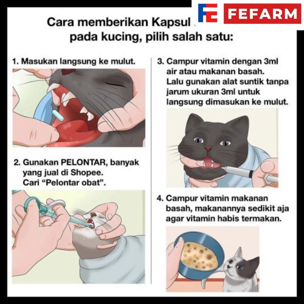 OBAT FLU KUCING / PILEK | AMAN UNTUK KUCING HAMIL DAN MENYUSUI ECERAN FEFARM