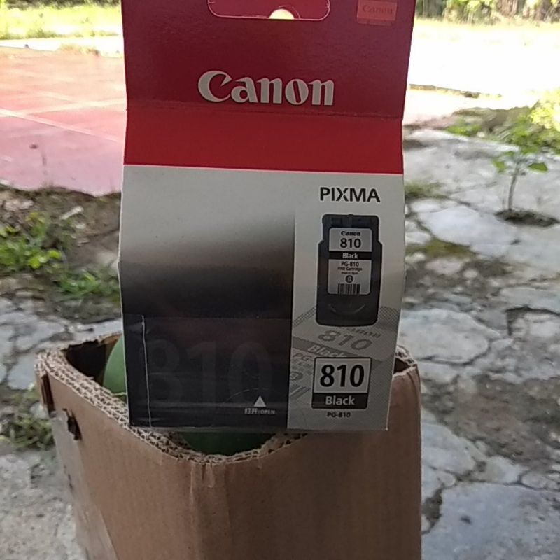cartridge Canon PG 810 hitam