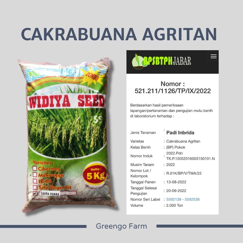 Benih Padi Varietas Cakrabuana Agritan umur genjah 5kg