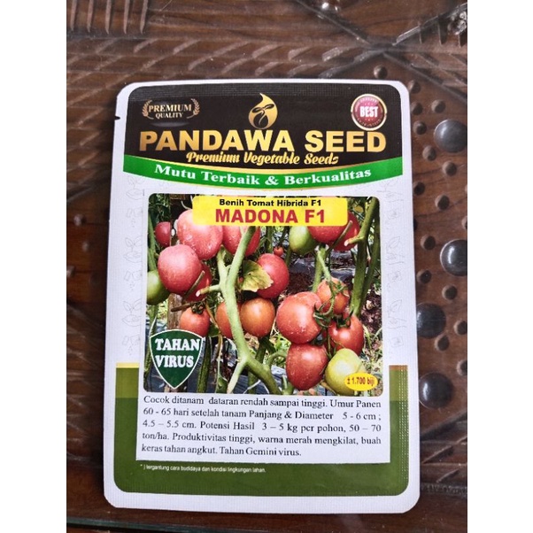 Benih Tomat Hibrida MADONA F1 Tomat unggul Benih Tomat bermutu Benih Tomat andalan