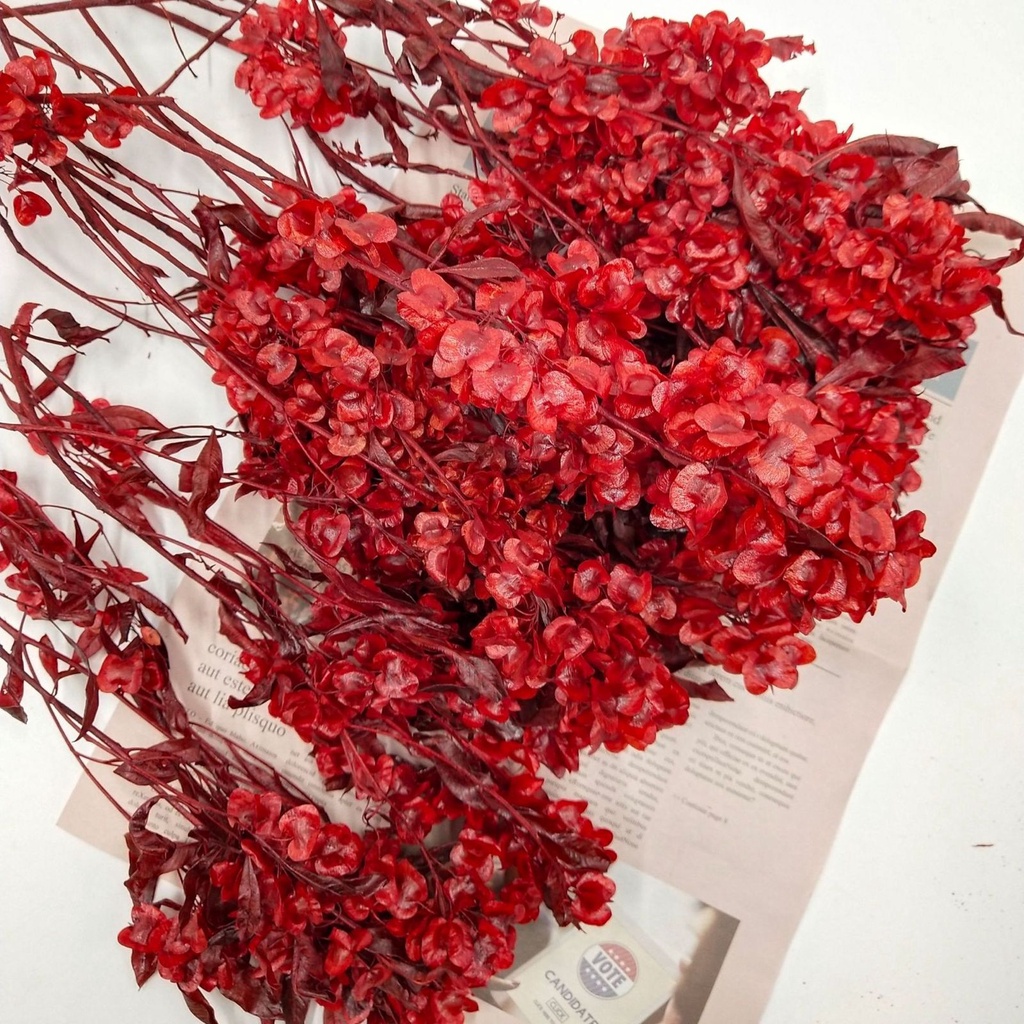 Chinese New Year Preserved Red HopBush Dodonaea  Bunga Imlek  Dekorasi  New Year 2023 Decoration Preserved Flower Bunga Kering Dried Flower Dry Flower  Tahun Baru Imlek