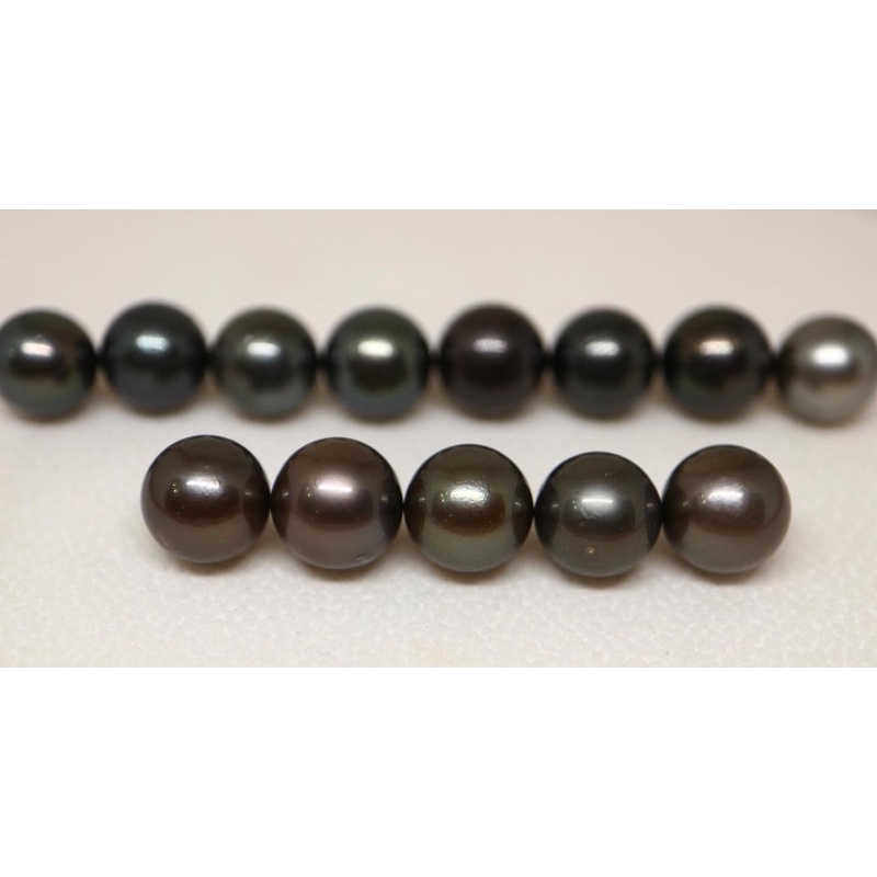 MUTIARA LAUT ASLI |MUTIARA LOMBOK GRADE A| MUTIARA LAUT BLACK