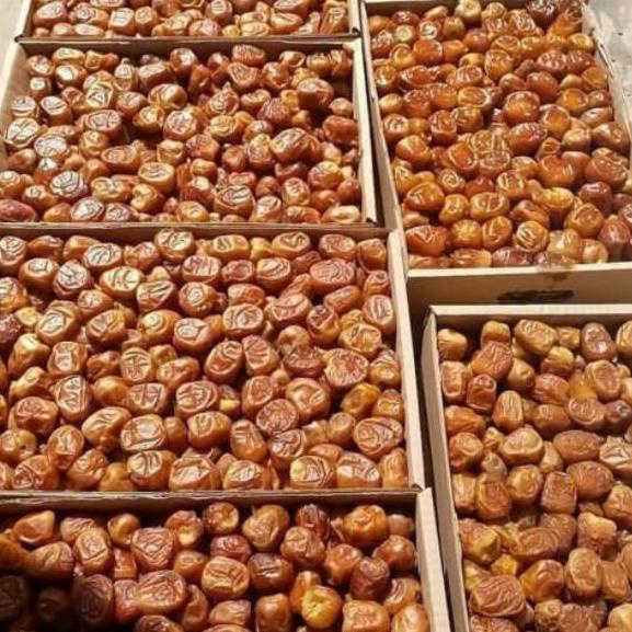 

BAYAR DITEMPAT✔️Kurma Sukari 3kg ORIGINAL / sukari al qassim 3kg murah / Kurma Sukari Al qassim timbangan lebih|RA3