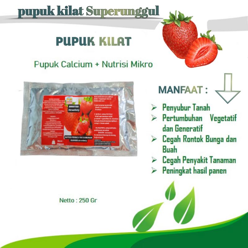 Pupuk Booster Organik Pelebat Buah Strowbery Dan Perangsang Agar Cepat Berbuah