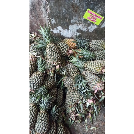 

Nanas Palembang tidak Kupas