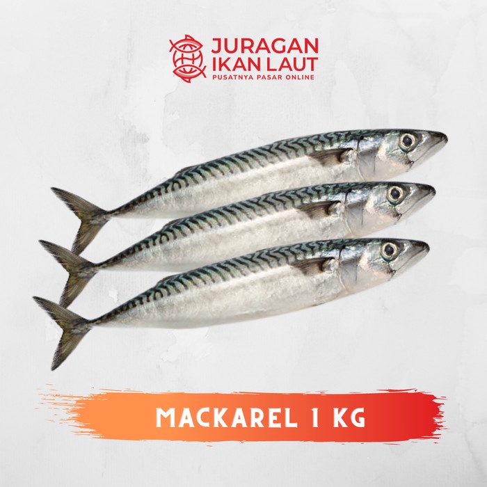

Ikan Salem Sarden Segar - 1 Kilogram JABODETABEK