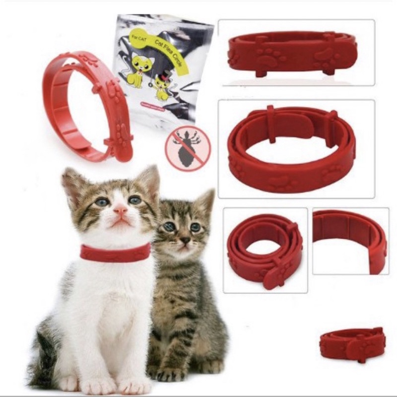 Kalung Kutu Anjing Kucing Dll / Cat Flea Collar