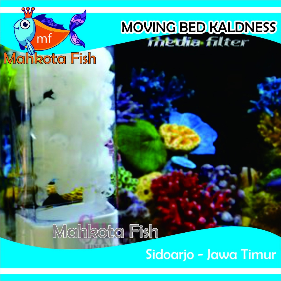 Filter Moving Bed Kaldnes | Filter Ikan | Filter Lucu | Filter Aquarium (FREE Buble Wrap)