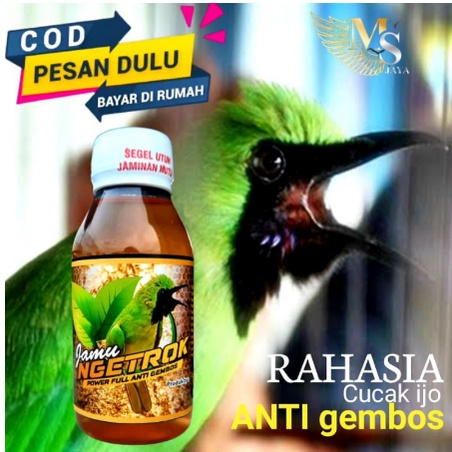 JAMU PENGGACOR CUCAK IJO SUPER GACOR JAMU NGETROK CUCAK IJO