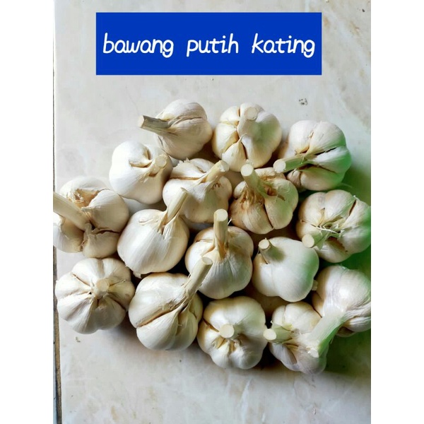 

Bawang putih kating 1 kg