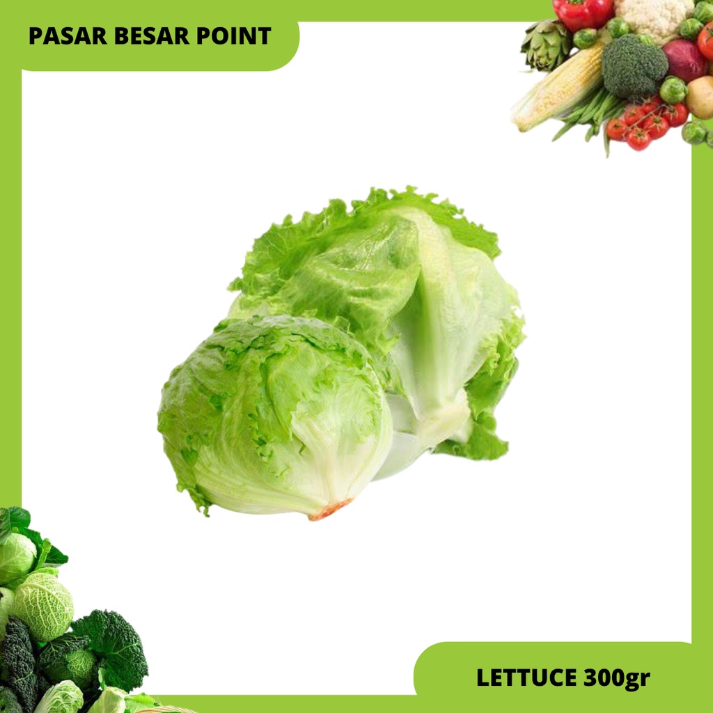 

sayur lettuce