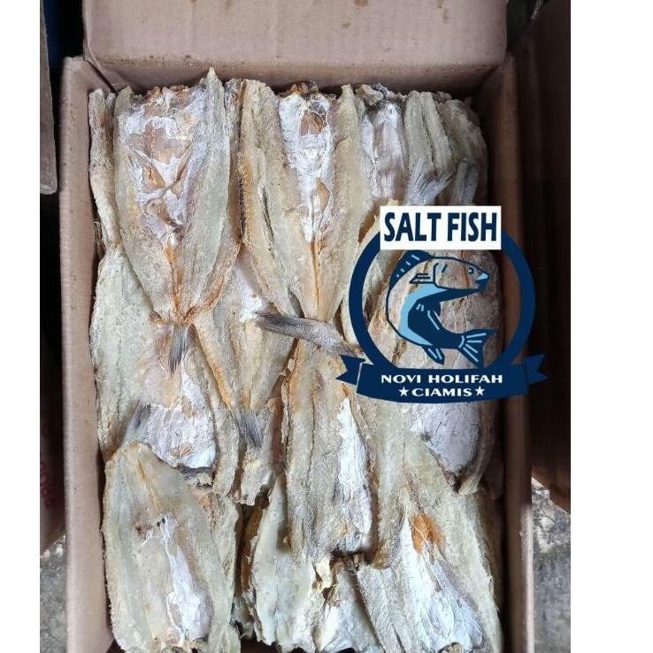 

[Terkece Se-RI] ikan bloso kering 500 gram