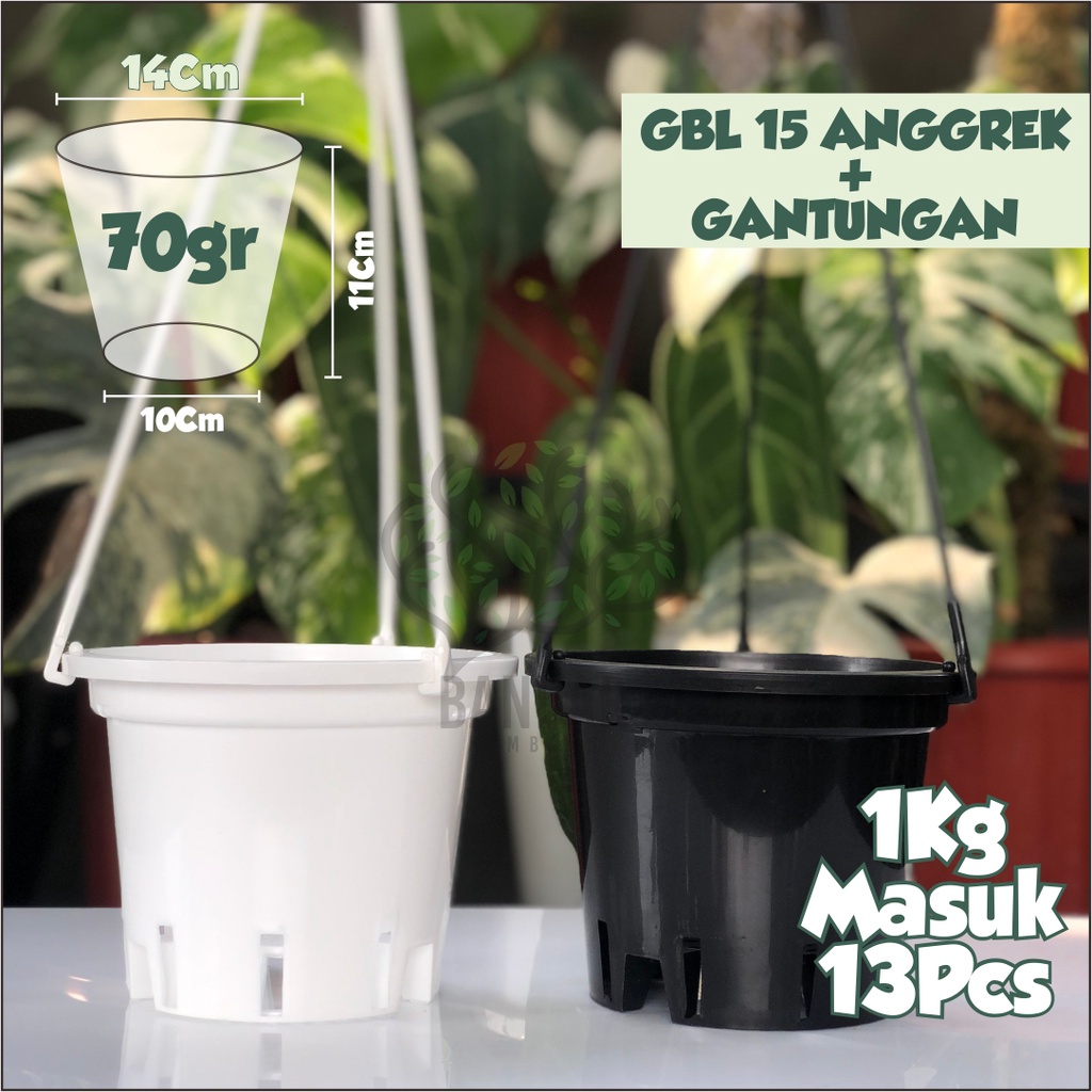 Pot Gantung Anggrek GBL Cattleya 15 Include Gantungan Pot Anggrek 15 Pot Gantung