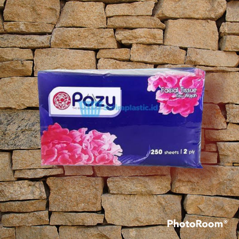 Tissue Pozy 250 Sheets 2ply