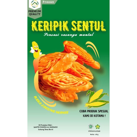 

ChipsSen
