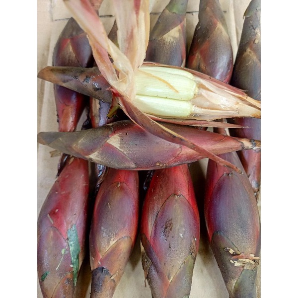 

buah globe almahera 300 gram fresh