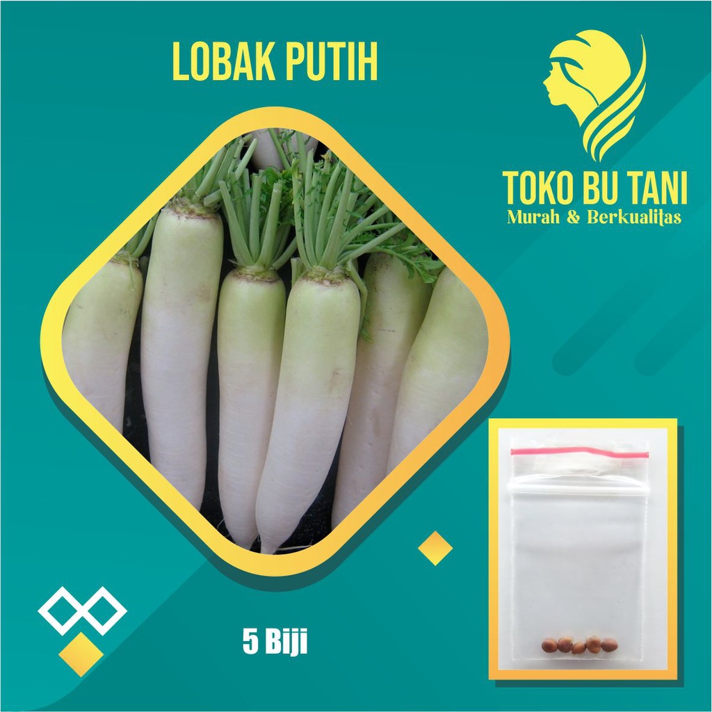 Jual Benih Lobak Putih F1 Hibrida Ming Ho Sayuran Known You Seed