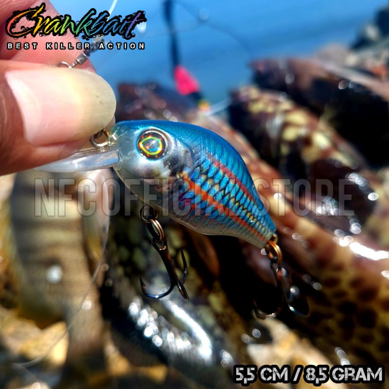 Crankbait 5,5 cm 8,5 gram Umpan casting kerapu Jaminan Action KILLER