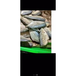 

11.11✔️Peda Buntung 500 Gram|KD7