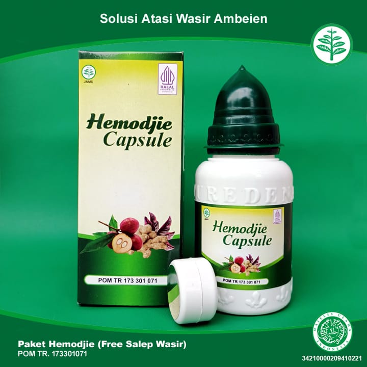 

Obat Ambeien Alami Ambeyen Benjolan di Anus Fistula Ani Daun Ungu Obat Tradisional Ambeien Berdarah Hemodjie Salwa