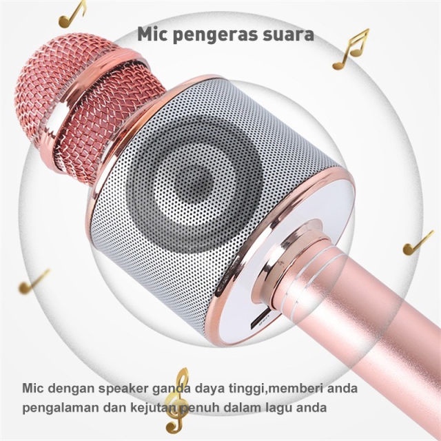 Holiven Mic Karaoke Portable