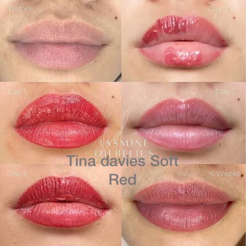 TINADAVIES X PERMABLEND 15ml - Lip dan Brow special colour vegan, BEST SELLER USA ORI 100%