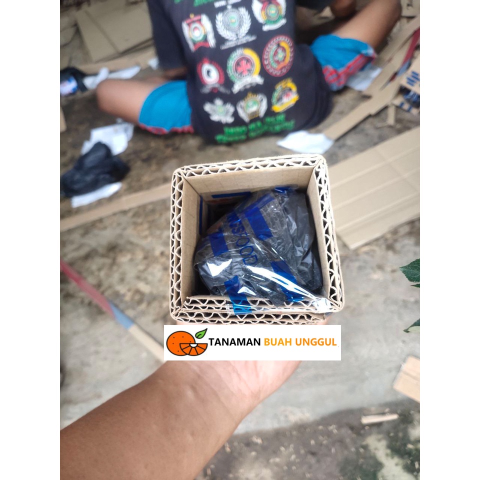 

Packing Kardus Double Deck