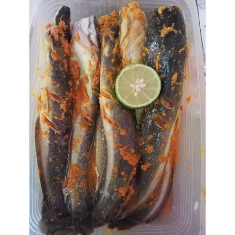 

lele frozen / segar bumbu bakar