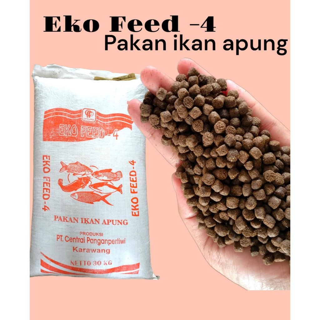 PELET APUNG EKO FEED -4 10 kg PAKAN Ikan Mas, Lele, Gurame, Bandeng