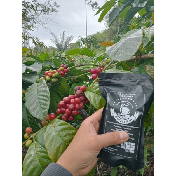 

kopikia