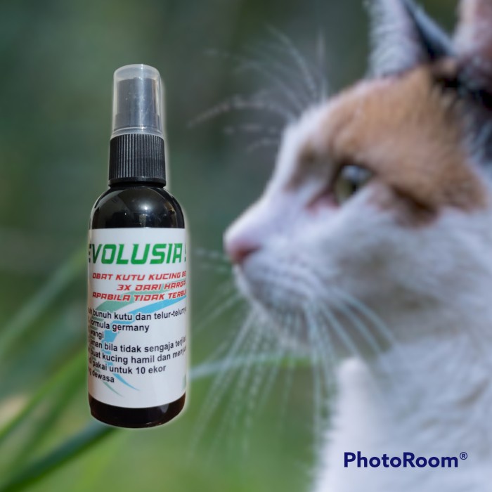 OBAT KUTU KUCING MEMBUNUH 10 DETIK - REVOLUSIA SPRAY