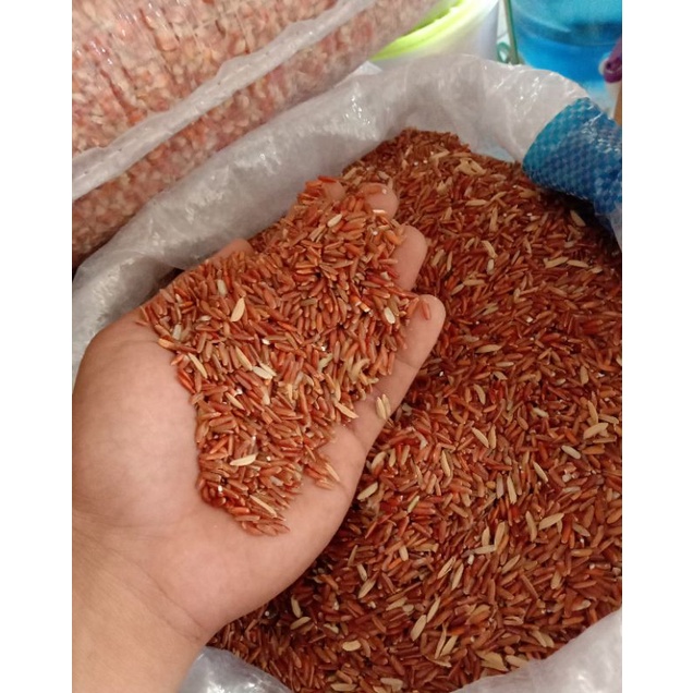 

PK beras merah