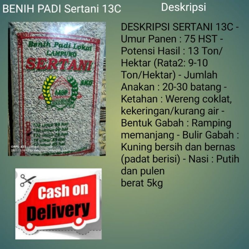 BENIH PADI SERTANI 13C  5kg