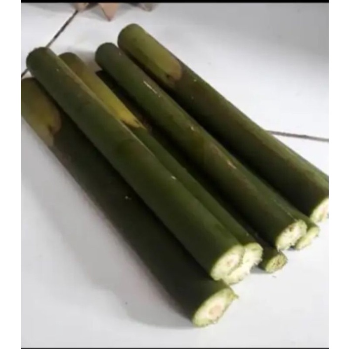 

batang pohon kecombrang atau honje per 1kg.