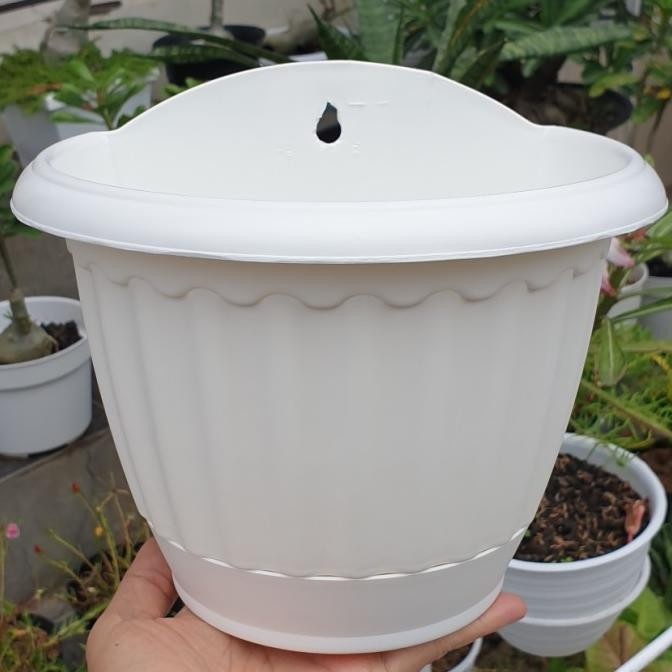 Pot Dinding Tempel Sa Tp20 Putih Pot Dinding Putih Ada Tatakan