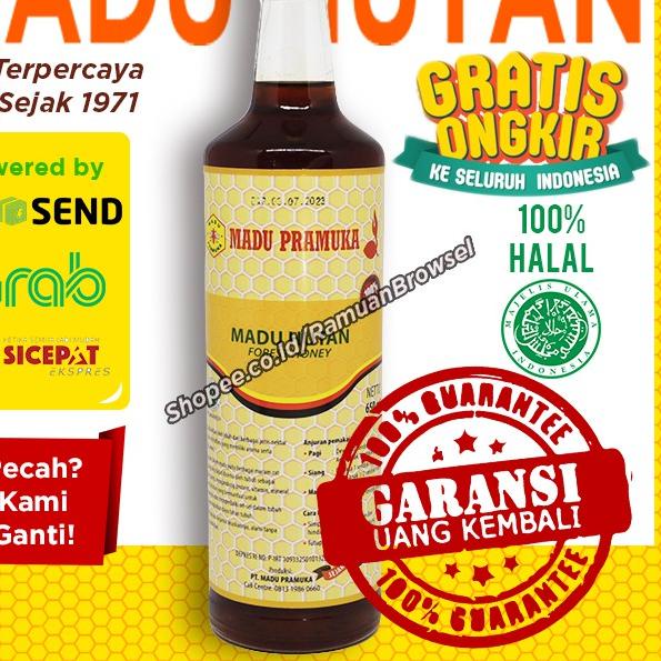 

limited STOCK!Madu Lebah Liar Pramuka - Madu Hutan 650ml Alami|RA6